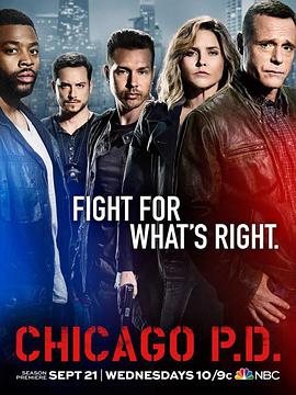 芝加哥警署第四季 第04集