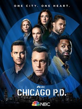 芝加哥警署第九季 第3集